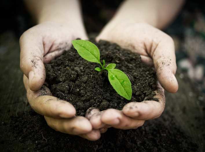 Грунт плодородный