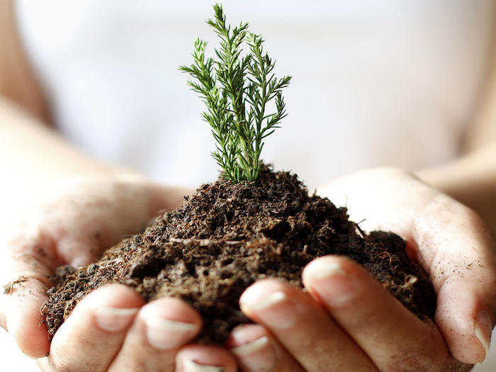 Грунт растительный