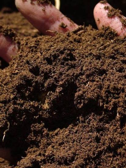 земля для дачного участка