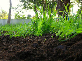 Хорошая земля на участок