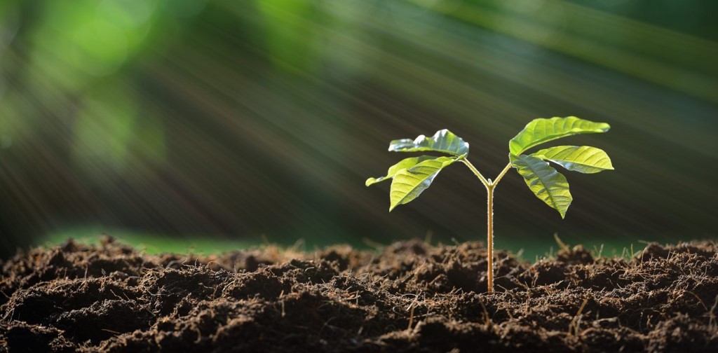 Рекомендации по выбору грунта