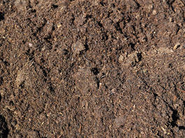 Земля для дачного участка