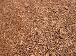 Земля для растений