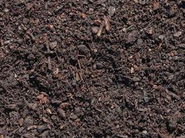 Озеленение территории