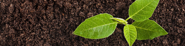 Грунт плодородный